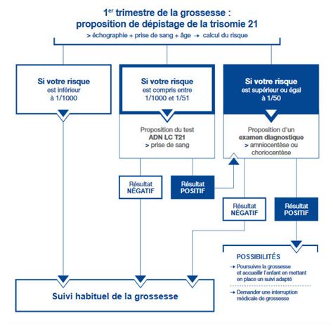 dépistage trisomie 21 deuxième trimestre